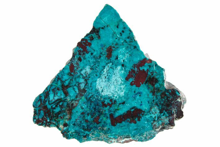 Vibrant Chrysocolla and Shattuckite Slab - Mexico #281744